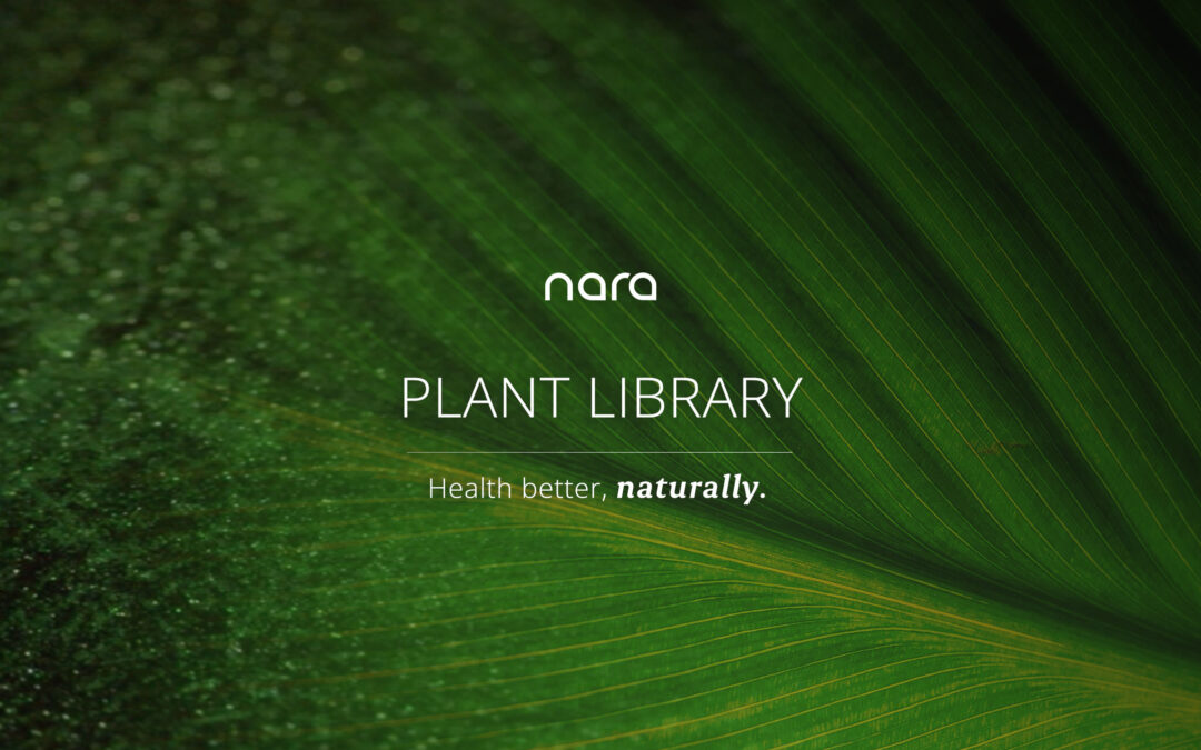 PanGenomic Health’s Nara Plant Library is Now Available. Nara App also Supports New FTC Regulatory Guideline for Science-Backed Information about Natural Remedy Alternatives to Pharmaceutical Drugs